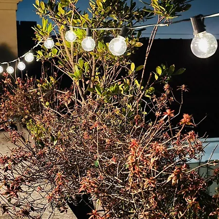 House With Terrace Апартаменты *