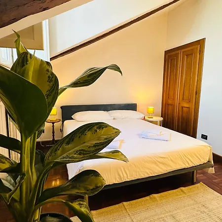 House With Terrace * Turín